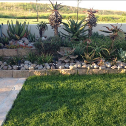 gardens