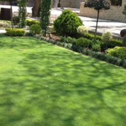 gardens7